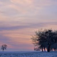 yrodn22573889's profile picture. Always remember: behind all the brilliance hides countless efforts and nights.