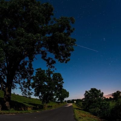 nonaromaticX's profile picture. thriving in the midst of chaos, embracing the hustle.