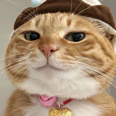 Aerherwallpaper's profile picture. 🪐 Minimal dreamscapes & emotional aesthetics — where visuals meet feeling.