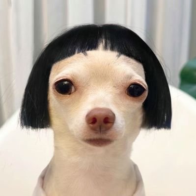 beeboom070447's profile picture. เขมจิราต้องรอด ♡⁠˖⁠꒰⁠KNP TFO꒱ ♡ @harit_keng @nampingnapat @TLE_mtm @firstone_wnk ✧แม่เจ่งๆ แม่ยัยเฟิ้ด✧