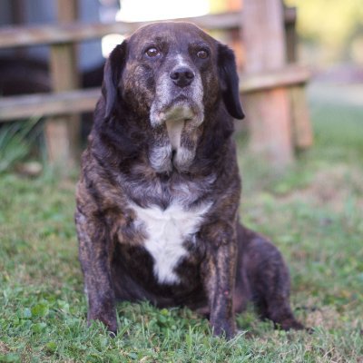 skp415's profile picture. 