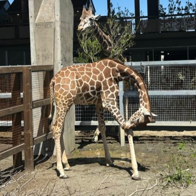 kakimama2022's profile picture. 懸賞初心者の二児のママです♪仕事と育児に追われのんびりですがフォロバ必ず返します‼無言フォロー大歓迎＆無言フォロー失礼します😌当選報告しっかりさせて頂きます❤️ 怪しいアカ🆖エロ&勧誘お断り❎ 🌼#懸賞 🌼#懸賞垢さんフォロバ100 🌼#懸賞垢さんと繋がりたい 🌼#懸賞仲間募集中 #海希ママちゃん当選報告