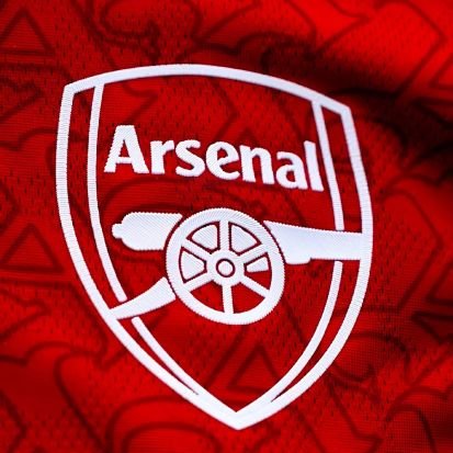Momo1589522's profile picture. Arsenal ♥️🤍