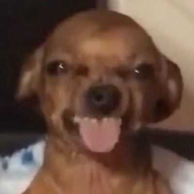 Jigannz's profile picture. shit happens