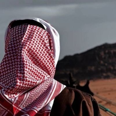 abdullah503a's profile picture. سبيع الغلباء 503 طير شلوى