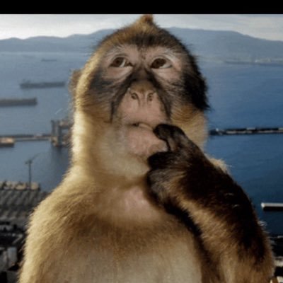 Isninounbotherd's profile picture. وَأَنَّ مَرَدَّنَآ إِلَى ٱللَّهِ