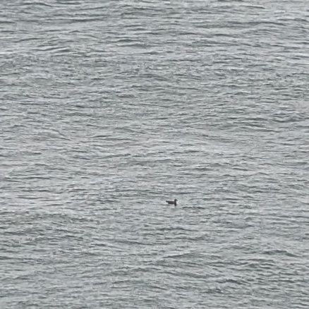 DrMystique's profile picture. 