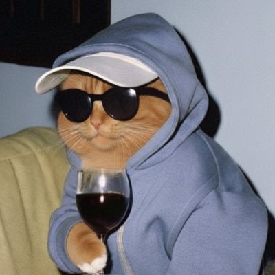 alxnucci's profile picture. ECOM SEA higt ticket +500€ / insta : alx.ecom