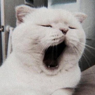 theshowgirl13's profile picture. มาเติมคนสวยด้วยกันสิคะ 😌💅🏻💝