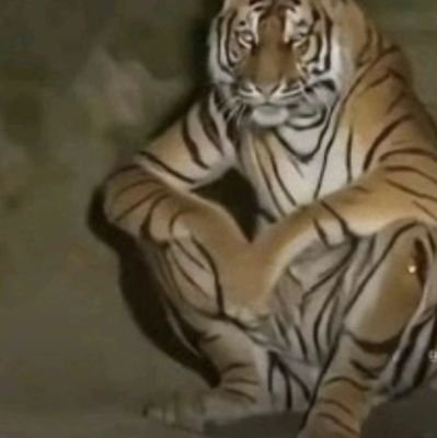 DesvJr's profile picture. ...