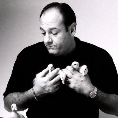 nouredi28789541's profile picture. 