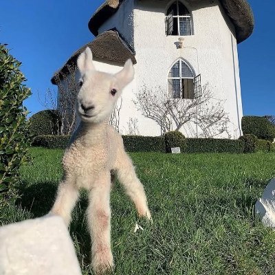 Hello_kate9's profile picture. The world is yours. Treat everyone with kindness, and light up the night.☀️