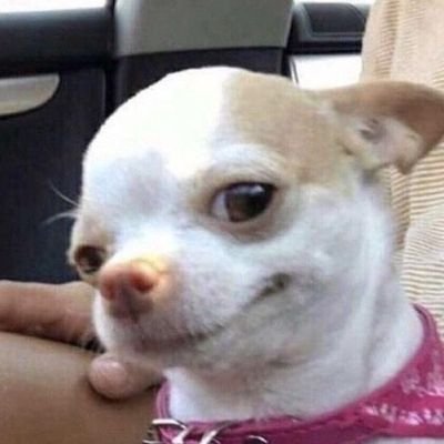 mn_stpp's profile picture. ♡☞ ติดฝน☔ ☜⁠♡ //♪ #TLE_mtm ♪ ෆ ♬ #firstone♬  
✪ #TleFirstone ✪ ✧ #เติ้ลเฟิร์สวัน ✧ 🐶🐰💚🩷  ((เเม่เคะบ้านส้ม🫶🏻))