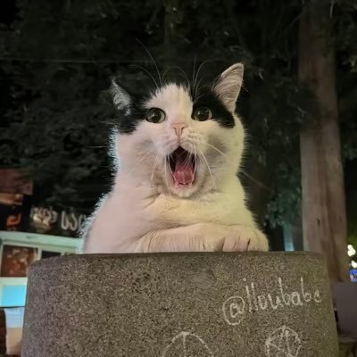 kingofnifgardd's profile picture. fallinlove