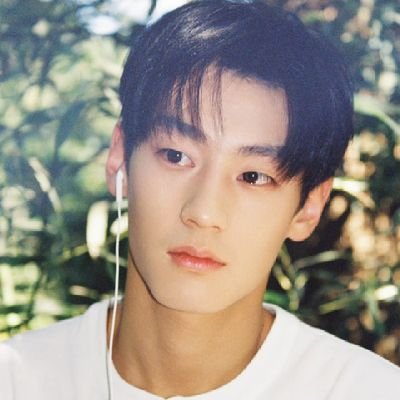 link020505's profile picture. Fully supports #LiuJun🥜#LiuXuancheng🍊 #ZhanXuan🦋 #TianXuNing🍋#ZiYu🐟 & CP's of #ZhanCheng🦊🐰#Sweetcorns🌽