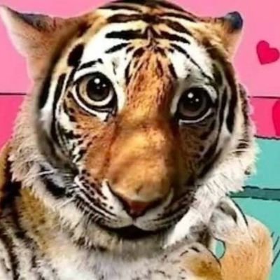 L4w55's profile picture. nn trate como ice quem te trata como prensado. 💭
#loatwt e #lobatwt