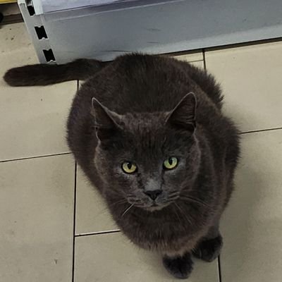 RahamanNah36076's profile picture. 