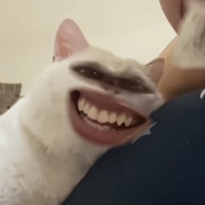 wahahwiena's profile picture. Product interface and Interaction Designer | Framer and Webflow | AI Tools Enthusiast. Available for work 👩🏻‍💻 | Building Purrify