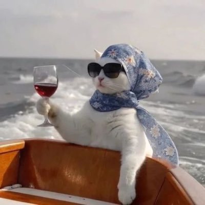 nof41009's profile picture. 