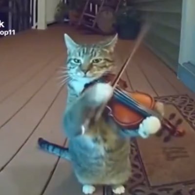 ninisuicida's profile picture. somente o supérfluo e superficial aqui