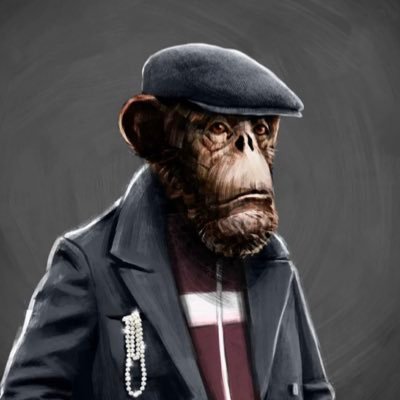 mac_gully's profile picture. 1) What?