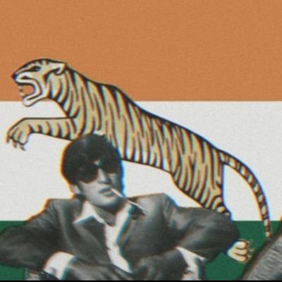 ShivamMish78313's profile picture. Everything here is satire