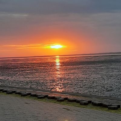 scho_sch's profile picture. 