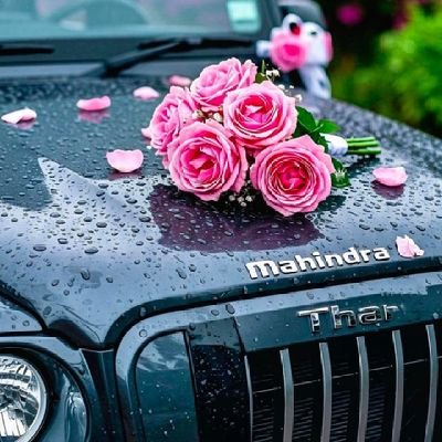 eshiqarani62933's profile picture. 💯💚💯💚💯💚💯💚💯💚💯💚💯💚