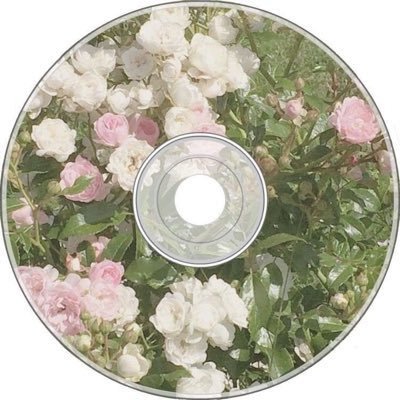 trefles2__'s profile picture. グラフィックデザイン学んでる専門学生