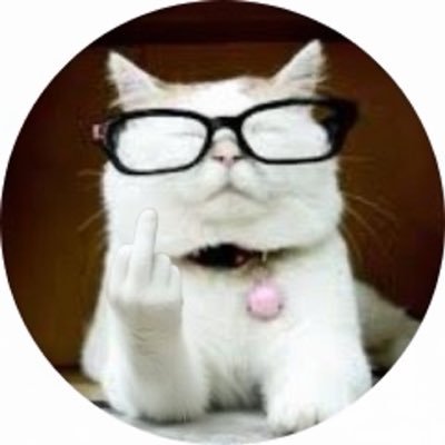 stringer_kade's profile picture. wow there will always be a good person out there. Jesus isn’t dead. A fallower of the Republican Party.