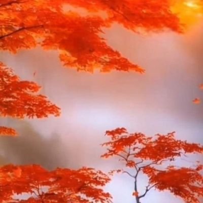 Golden_Life1010's profile picture. 희망을 노래하리