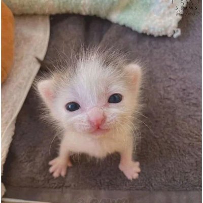 simin48623's profile picture. https://t.co/OFVZGqgR2n