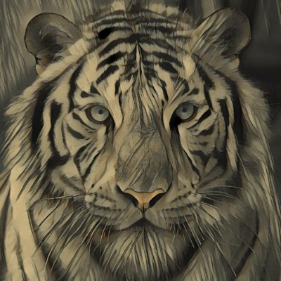 McCorvix's profile picture. 