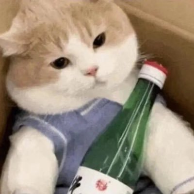 0x1morphine's profile picture. Just a girl who’s obsessed with the market 📈|| be delusional