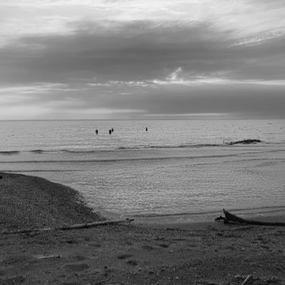 Bonkszn's profile picture. #DUUUVAL