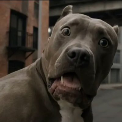 Karl65203592213's profile picture. Happy 😃 🚫 Porn