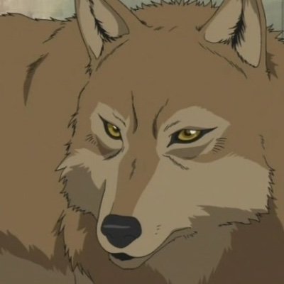 derpyhoofed's profile picture. read my extended bio please ♡ airi momoi’s #1 fan
im a minor 18+ dni omg