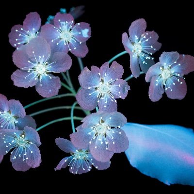 presenta846's profile picture. A Worldwide view of the Human race,Weather,Music,Herbal uses, and Policy of Nations.Please Share:presentmoment777Tewa on google.Peace and nonvolience.