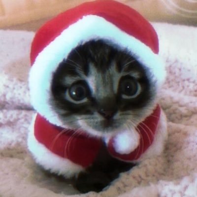 dumbquincy's profile picture. 