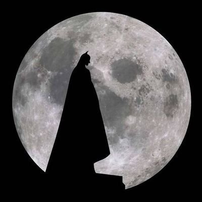 Mastero_9's profile picture. 