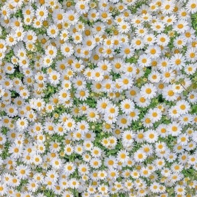 JustOche_x's profile picture. 