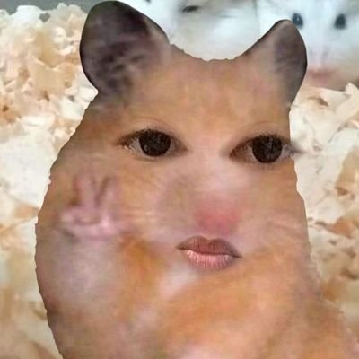 Mshdstrawberry_'s profile picture. If life gives you daisies, pick lilies.