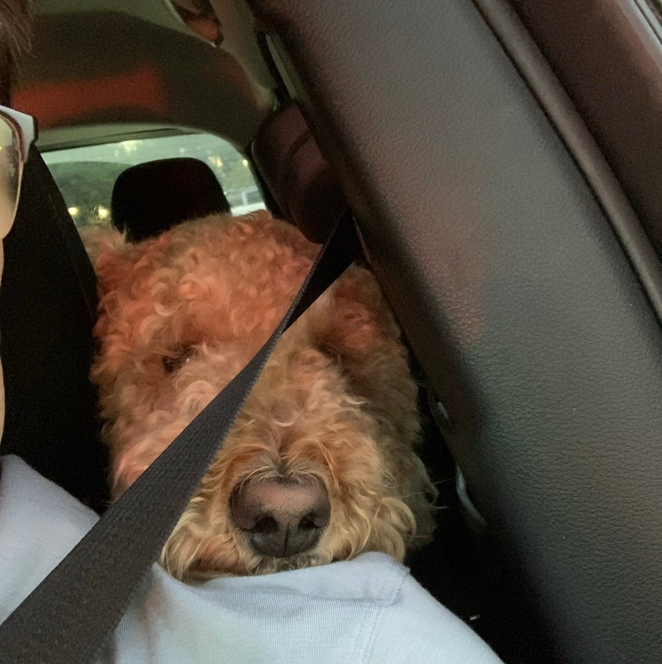 michaelferhxaz's profile picture. 