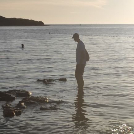 Corneli71844371's profile picture. 