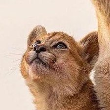 EdenWorkz's profile picture. Frontend Dev. #HTML #CSS #JS #REACT #IAmAMOb. #ADC