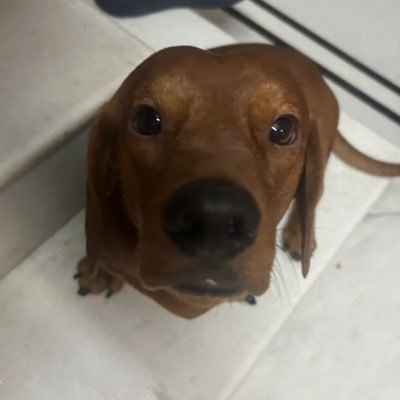 shreyendipity's profile picture. 21| med student🩺