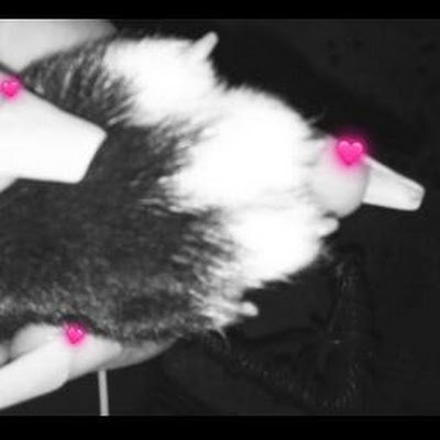 anniee_six's profile picture. 