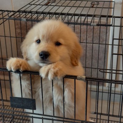 08n_4s's profile picture. —ꕤ ( 𝘧𝘢𝘯 𝘢𝘤𝘤𝘰𝘶𝘯𝘵 ) / @jnnrrs @markjrtn @fforcejs @kasibook @Tawan_V @new_thitipoom @Marckrisk 🌞🌛🦊🍅🐋🐻‍❄️🦖 ˖♡.°₊ˎˊ˗