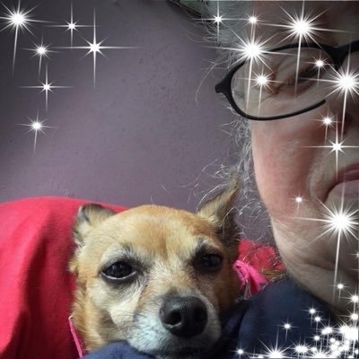 Jentay61's profile picture. VeryBolshie,O.I.,ret.,Christ Follower,RichardTodd/EdwardPetherbridge fan. History,BBMF,crafter/Artist.BA(Hons)Eng.Etsy "JennysAccoutrements"