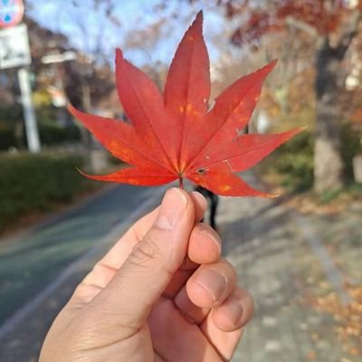 iseongsun19's profile picture. 류하영 닉네임 개당 류진입니다 
미국LA 국적입니다 
이제 외국입니다 🇰🇷🇺🇸🇩🇪🇯🇵🇬🇧🇹🇭🇨🇳